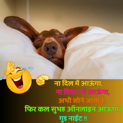 Good Night Funny Shayari