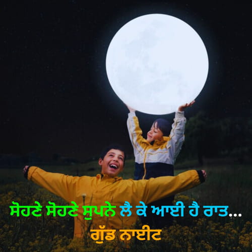 Good Night Shayari in Punjabi