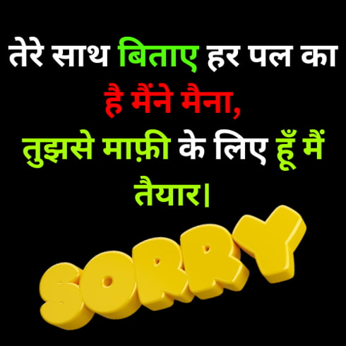 sorry best heart touching true love shayari hindi